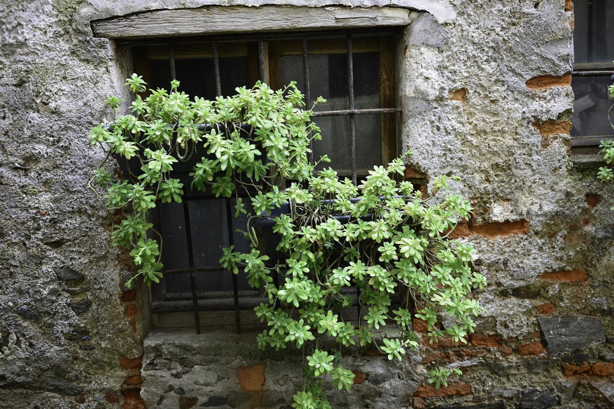Ferienwohnung A Casa Di Sole Brovello Exterior foto